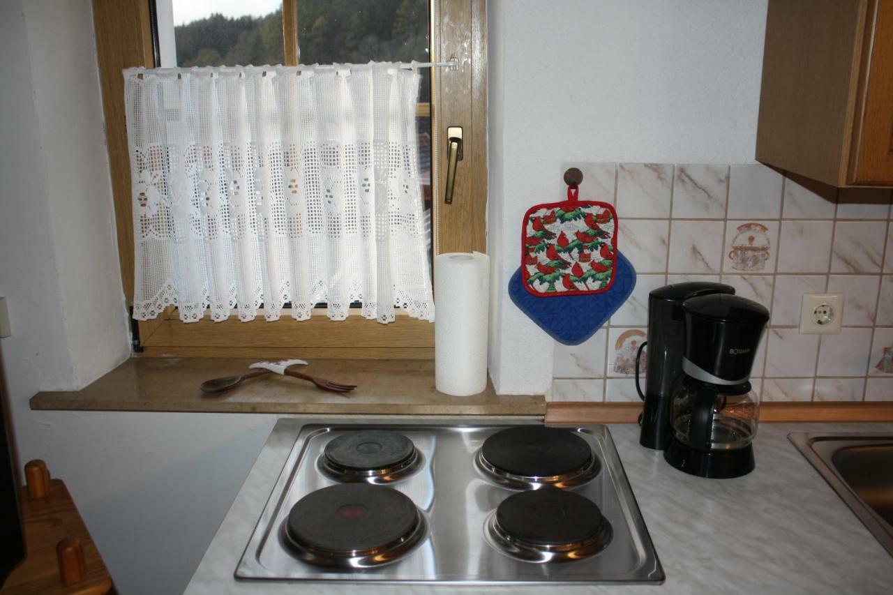 Ferienwohnung Eva Und Alexander Hirschbach  Exteriör bild